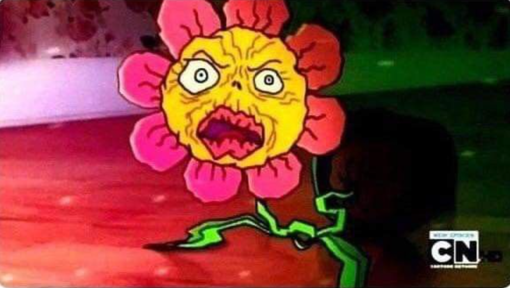 Die Pflanzen umtopfen